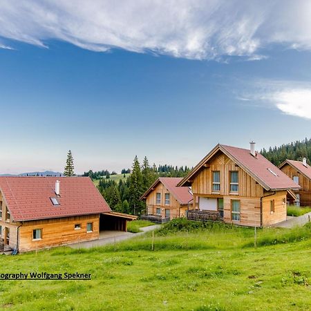 Beautiful Holiday Home In Weinebene With Sauna Posch Alpe Exterior photo