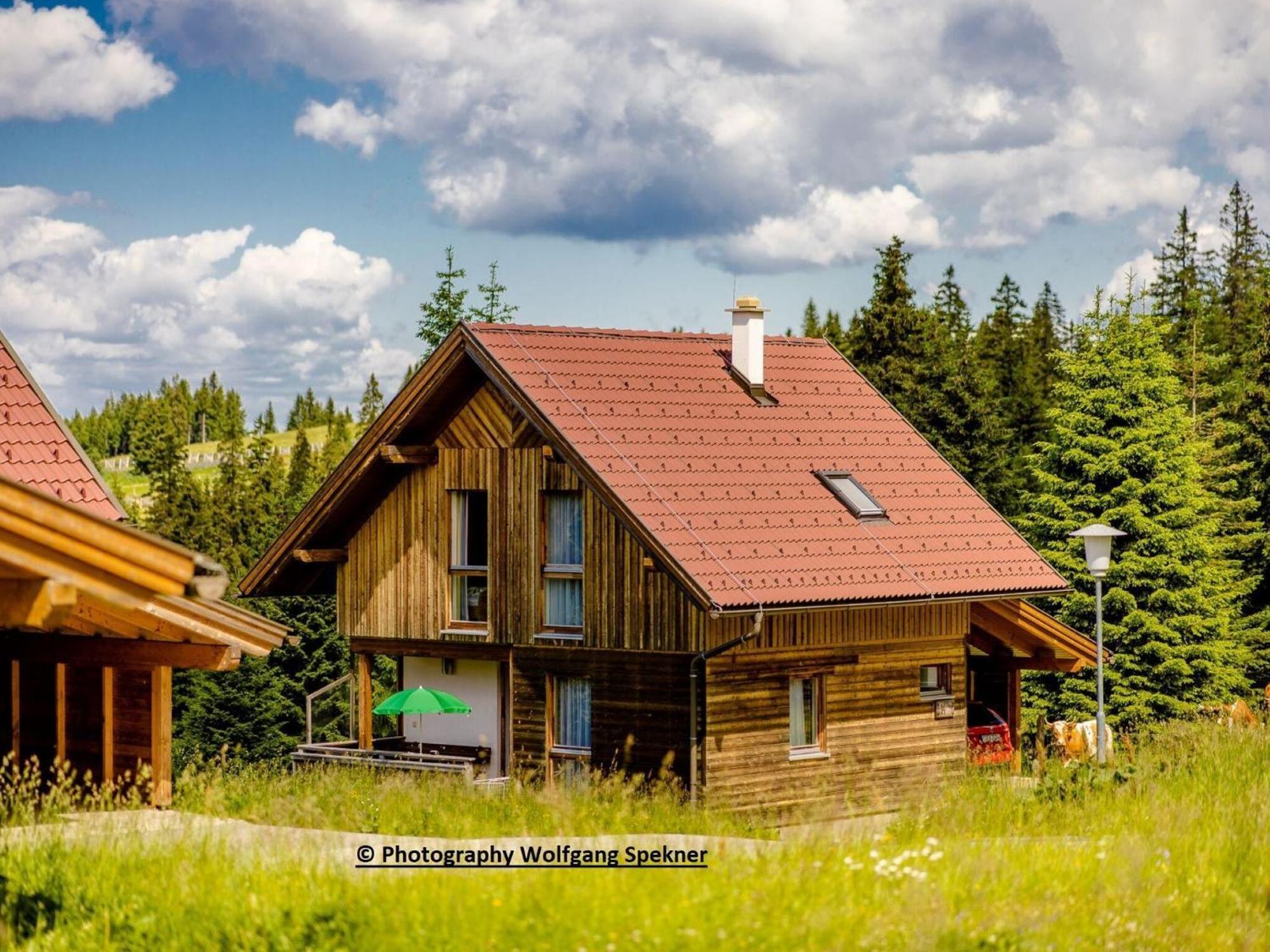 Beautiful Holiday Home In Weinebene With Sauna Posch Alpe Exterior photo