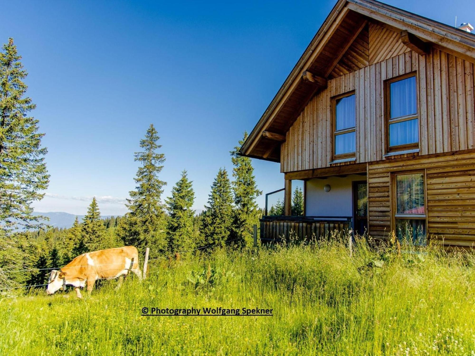 Beautiful Holiday Home In Weinebene With Sauna Posch Alpe Exterior photo