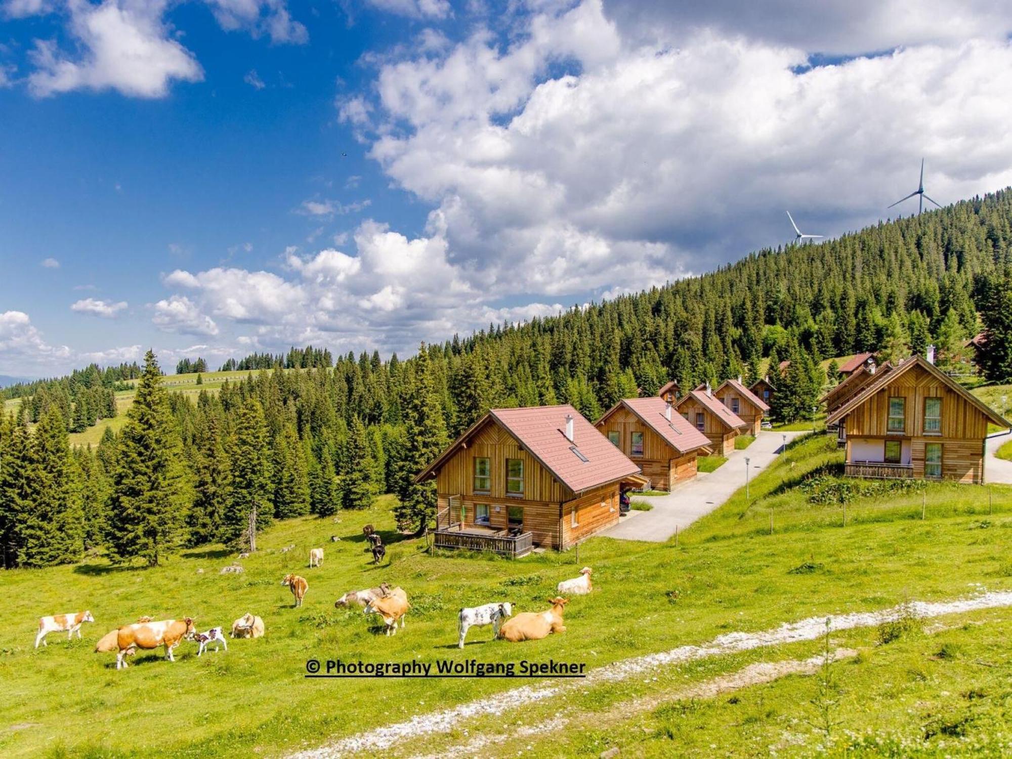 Beautiful Holiday Home In Weinebene With Sauna Posch Alpe Exterior photo